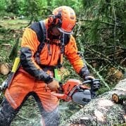 Venta Online de Maquinaria Forestal | ALBINI